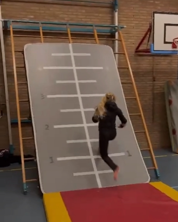 3m 5m 6m 8m 10m 12m Big Size I - огляд і ціна Tumbling Air Track