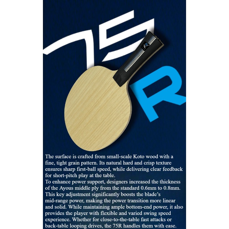 SANWEI 75R 5+2 Outer H-GLC Tab - огляд і ціна Table Tennis Paddle